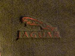 Jaguar leaper mats-p1020729.jpg