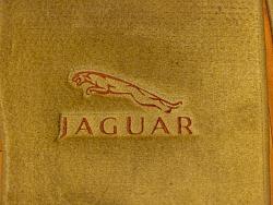 Jaguar leaper mats-p1020726.jpg