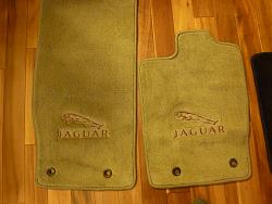 Jaguar leaper mats-p1020725.jpg