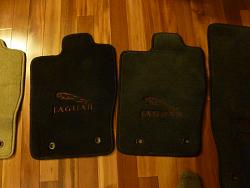 Jaguar leaper mats-p1020724.jpg