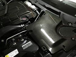 Carbon fibre Engine Cover-img_0250-2.jpg