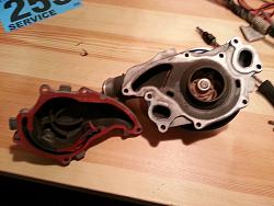 Can we talk about the 5.0L water pump-20150822_064241.jpg