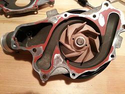 Can we talk about the 5.0L water pump-20150822_064333.jpg