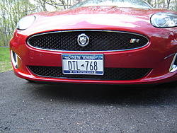 Front License plate-dsc00089.jpg