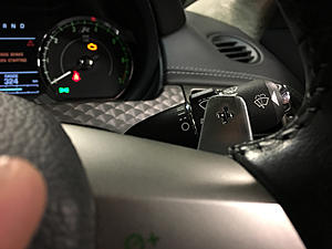 Paddle Shift Extensions-photo264.jpg