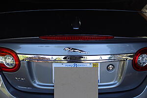 Leaper (for the rear)-pyyybaf.jpg