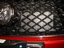 Bricks in the grill-dsc00106.jpg