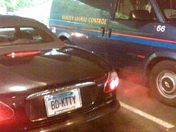 Any cool personalized plates out there?-animal-control.jpg