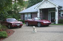 Post up your favourite photo of your own car-his-xj6-hers-xk8-pooch.jpg