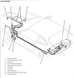 gas smell-xk8fuelsystem.jpg