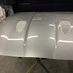 Bonnet Respray-img_0749.jpg