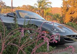 NEW 2004 XK8 - Charcoal and Black-behindpink.jpg