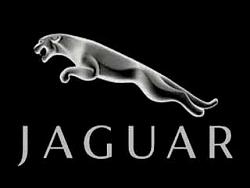 bluetooth add-jaguar-logo2.jpg