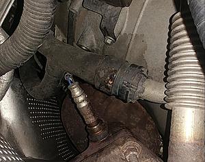 Octopus hose leak, the  option-norma-connector-pass-side.jpg