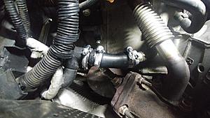 Octopus hose leak, the  option-heater-hose-completed.jpg