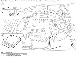 Throttle Body Cable Adjustment = Original Power Restored ?-app-rhd.jpg