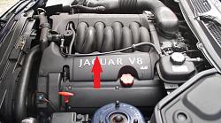 Coolant cap &amp; seals disentigrated into the reservoir upon checking fluid level :o-01-engine-bay.jpg