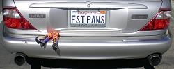 Any cool personalized plates out there?-fstpaws.jpg