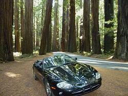 Where did you drive in your XK8/R today?-p1010956.jpg