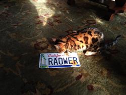 Any cool personalized plates out there?-raow.jpg