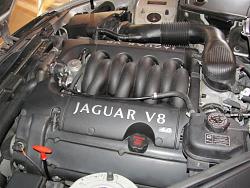  Cleaning the engine bay of an XKR...-12-017.jpg