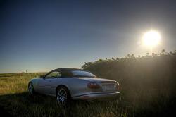 Wow us with your XK8/R photos-next-sunflower-farm.jpg