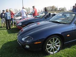 Pics of British Car Gathering at Shelton Vineyard-bg-xk8.jpg