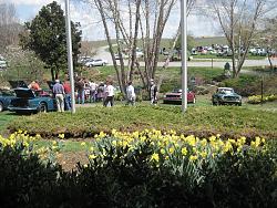 Pics of British Car Gathering at Shelton Vineyard-bgtul.jpg