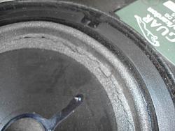 Inexpensive Audio Fix-speaker-damage.jpg