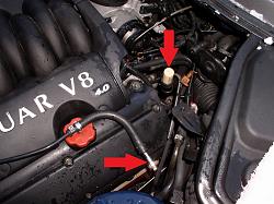 Cam cover bolt removal problem-xk8-expansion-tank.jpg