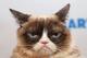 Grumpy_Cat's Avatar