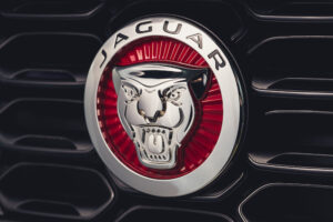All the 2021 Jaguar F-Type Eye Candy You've Ever Wanted!