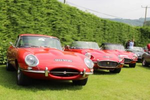 Jaguar E-Type Club