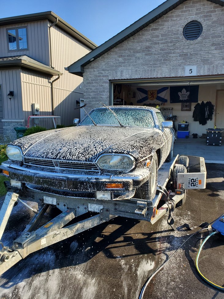 1988 Jaguar XJS Rescue: First Wash